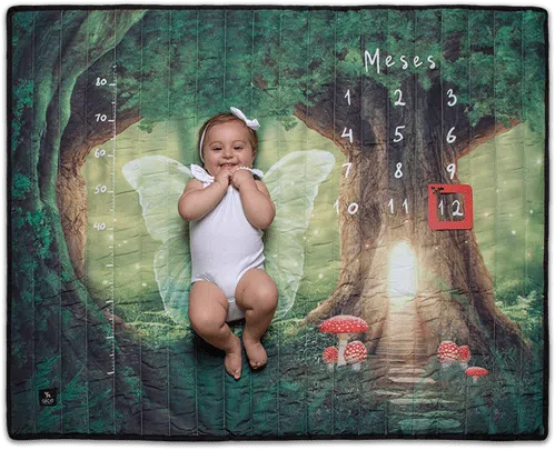 Frente do Tapete Mesversário Sonhe Alto com Marcador de Meses - Use Alce