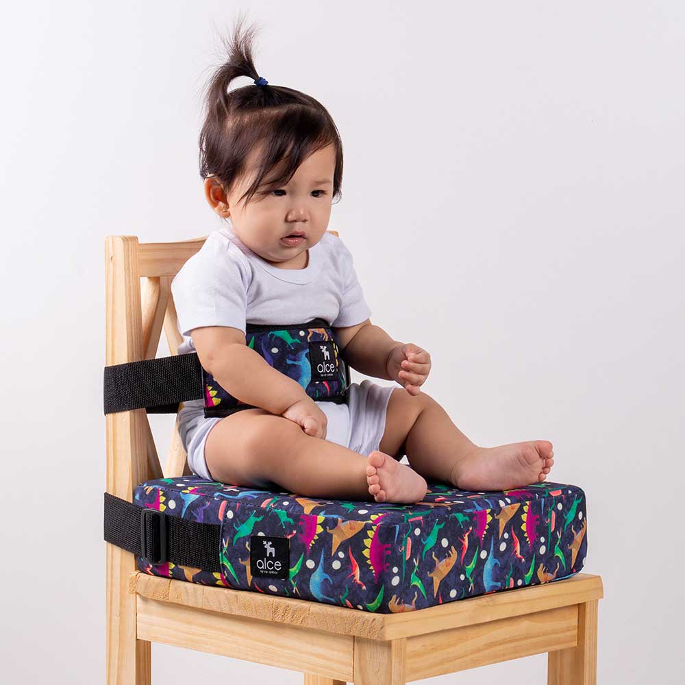 Assento de Alimentação (elevação) e Cinto Dino