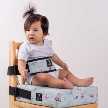 Assento de Alimentação (elevação) e Cinto Unicórnio