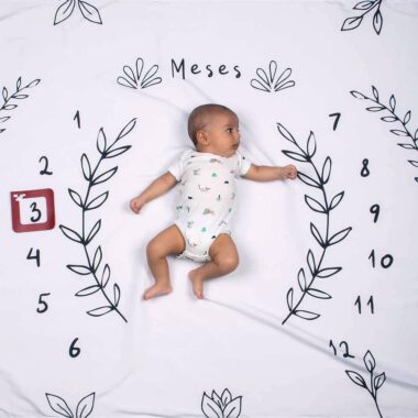 cenario lencol mesversario raminho usealce