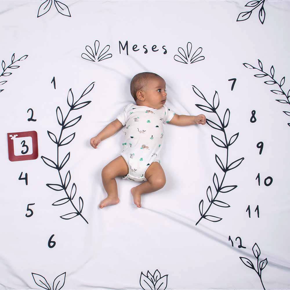 cenario lencol mesversario raminho usealce