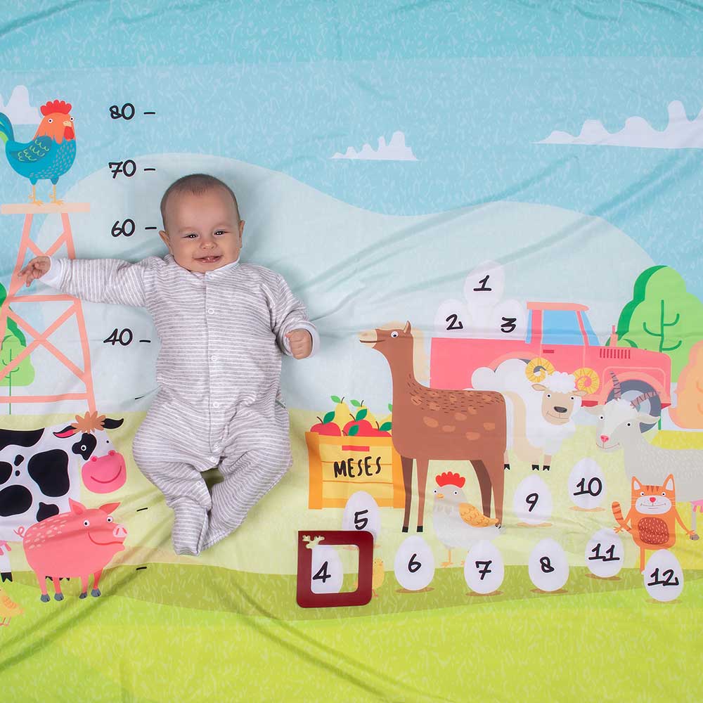 cenário mesversario usealce fazendinha