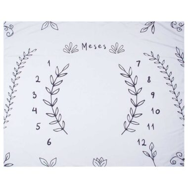 Cenário Mesversário Raminho