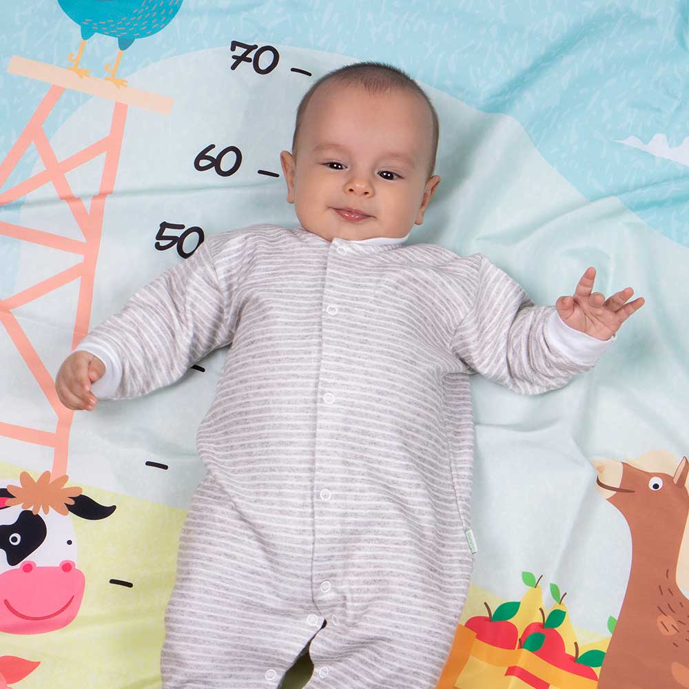 cenário mesversario usealce fazendinha