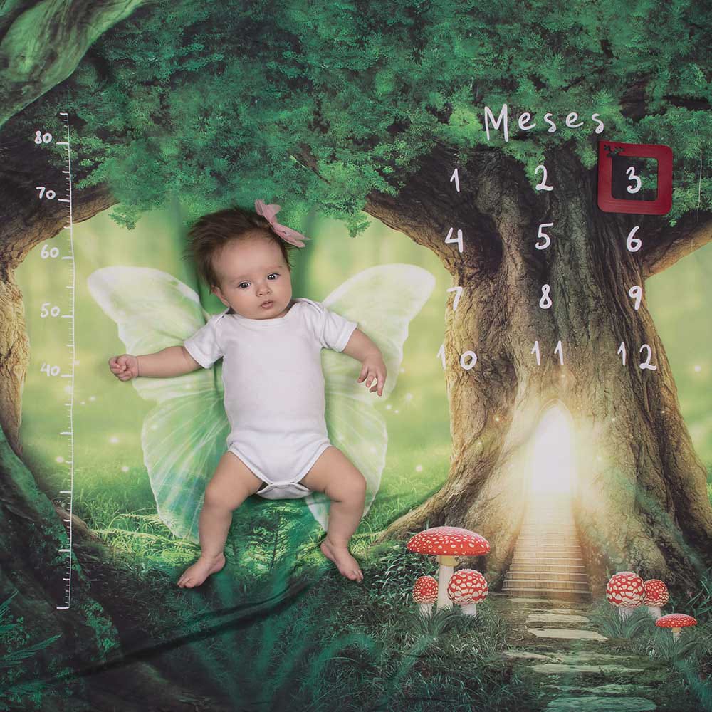 Cenário Mesversário Mundo das Fadas