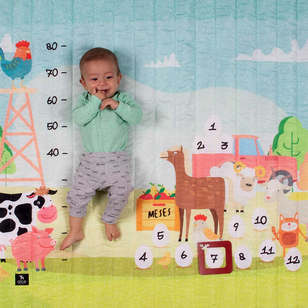 Tapete Mesversário Fazendinha