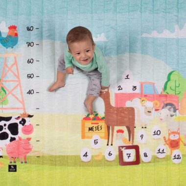 Tapete Mesversário Fazendinha