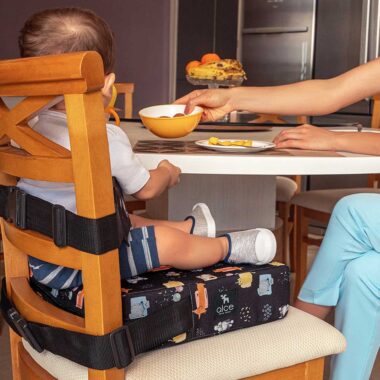 Assento de Alimentação (elevação) e Cinto Pets