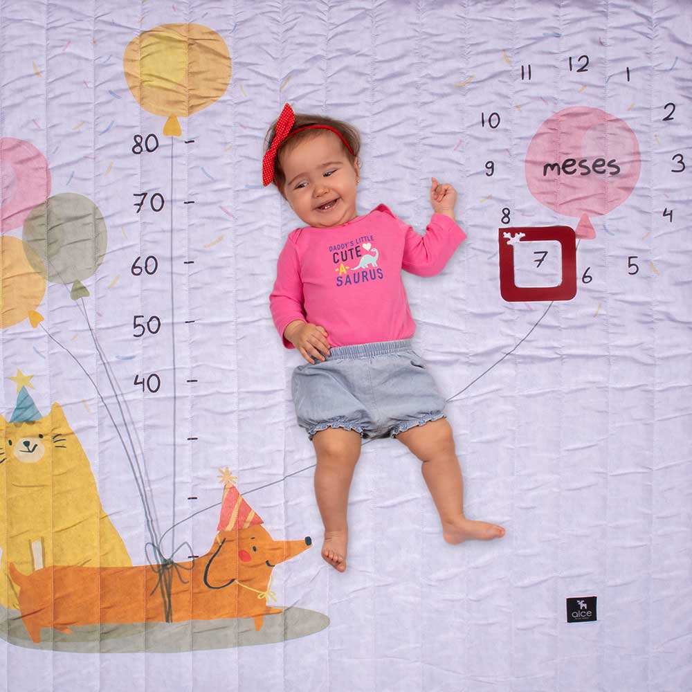 Tapete Mesversário Pets