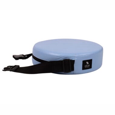 Assento De Alimentação Redondo E Cinto Azul