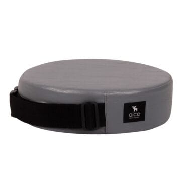 Assento De Alimentação Redondo E Cinto Cinza