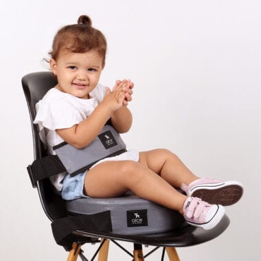 Assento De Alimentação Redondo E Cinto Cinza