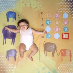 cenário mesversário elefante colorido